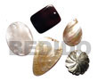 5 Pcs. Shell Pendants / Blacklip/ Hammershell / Mop / Brownlip