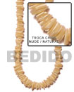 Shell Beads