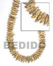 Buri Seed Tiger Quarter Moon Beads