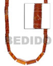 Shell Beads