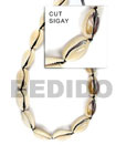 Fashion Sigay Shell Beads