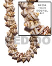 Fashion Nassa Tiger Shell Beads