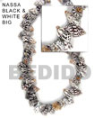 Shell Beads