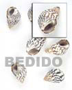 Shell Beads