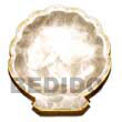 Fashion Noble Scallop Small With Gifts Decorative Souvenir Item
