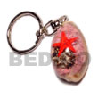 Cowri Shell With Laminated Keychain