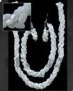 Troca Shell Set Jewelry