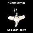 Philippines Bone Pendants Shell Fashion Bone Horn Pendant Jewelry Dog Shark Teeth Pendant Natural Shell Component SFAS5002P