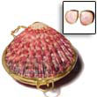 Philippines Shell Coin Purse Shell Fashion Coin Purse Jewelry Piktin Shell Coin Purse - Size 51mm X 49mm Natural Shell Component SFAS005CP