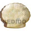 Philippines Gifts Decorative Souvenir Item Giveaways Shell Fashion Gifts Decorative Souvenir Item Jewelry Capiz Clam Shaped Plate 8x8 Inches ( Medium ) Natural Shell Component SFAS011GD