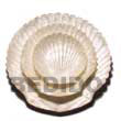 Capiz Shell King Scallop Gifts Decorative Souvenir Item