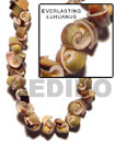 Philippines Shell Beads Everlasting Luhuanus Shell Beads - Shell Fashion Online Shopping Store SFAS026SPS