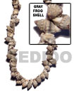 Gray Frog Shell Beads