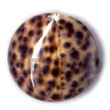 Round Tiger Cowrie 40mm Shell Pendant