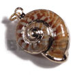 Philippines Shell Pendant Fashionable Land snail shell molten gold metal jewelry handmade natural SFAS6271P